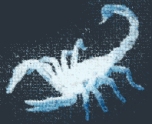 "scorpion" (digital image)